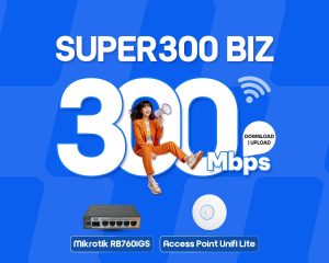 Super 300Biz